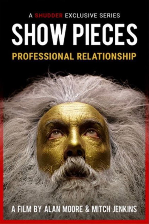 Movie poster for A Professional Relationship (2015)