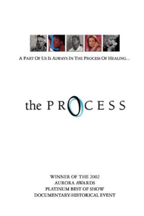 Movie poster for The Process (2003)