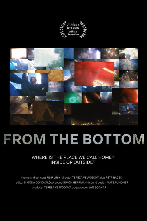 Movie poster for From the Bottom (2022)