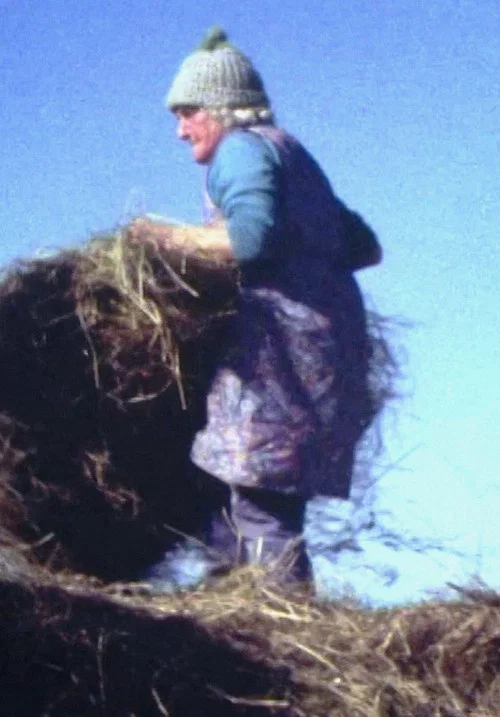 Movie poster for Land Makar (1981)