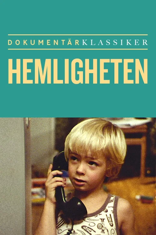 Movie poster for The Secret (2009)