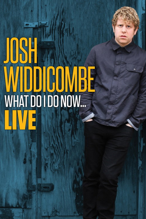 Movie poster for Josh Widdicombe: What Do I Do Now... (2016)