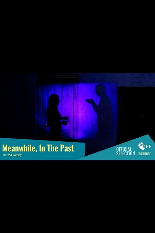 Movie poster for Meanwhile, In The Past (2017)