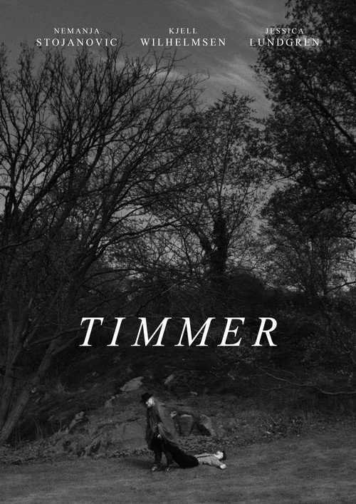 Movie poster for Timmer