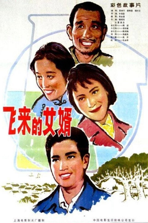 Movie poster for 飞来的女婿 (1982)