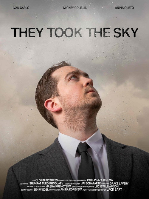 Movie poster for They Took the Sky