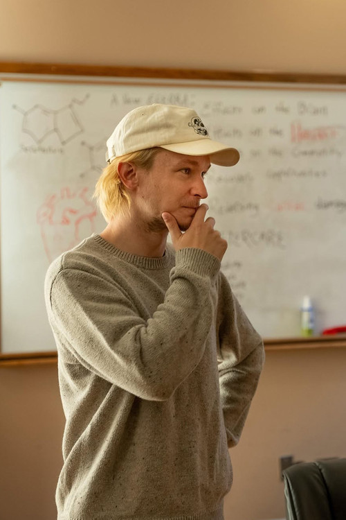 Photo of Tarik Begic, Directing