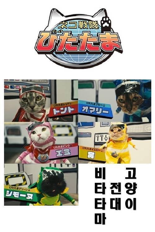 Series poster for Cat Squadron Vitatama (2019)
