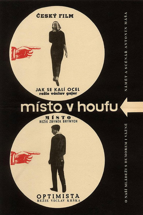 Movie poster for A Place in the Crowd (1964)