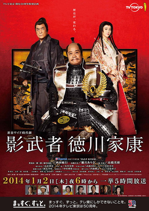 Movie poster for Shadow Warrior Tokugawa Ieyasu (2014)