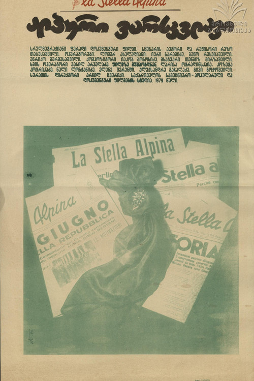 Movie poster for La stella Alpina (1980)