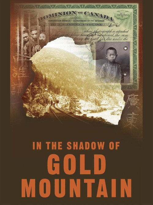 Movie poster for In The Shadow of Gold Mountain (2004)