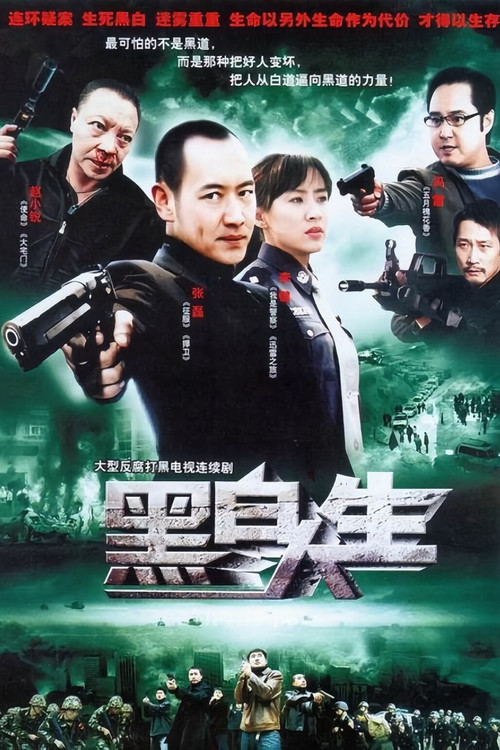 迷失背后 poster