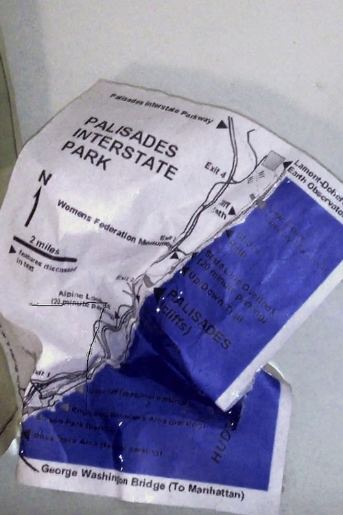 Movie poster for Palisades in Palisades (2014)