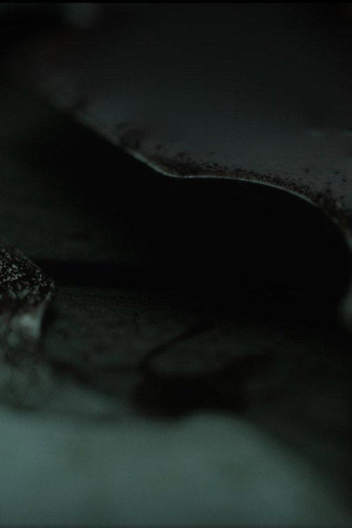 To Those Who Speak Waves poster