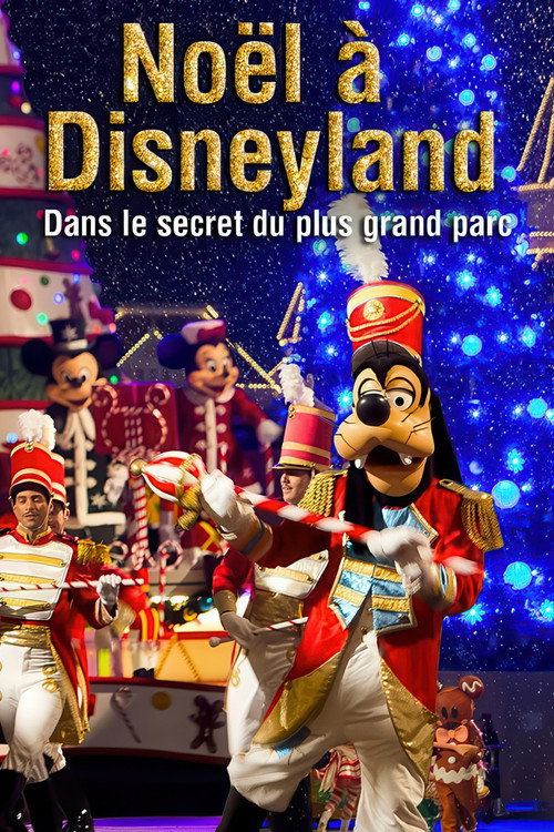 Movie poster for Noël à Disneyland : Dans le secret du plus grand parc d'attraction d'Europe (2014)