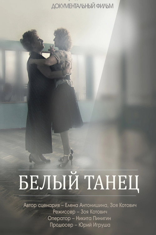 Movie poster for Ladies' Choice Dance (2013)