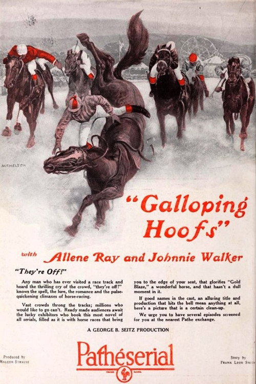 Movie poster for Galloping Hoofs (1924)