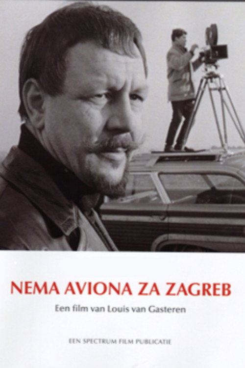 Movie poster for There Is No Plane to Zagreb (2012)