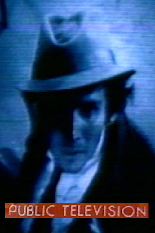 Movie poster for Public Television (1979)