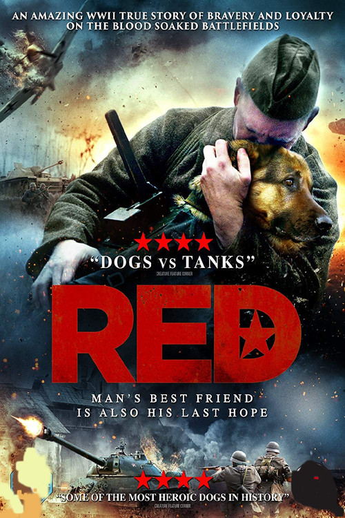 Movie poster for Red Dog (2016)
