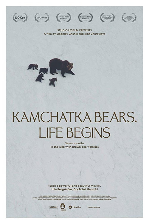 Movie poster for Kamchatka Bears. Life Begins (2018)