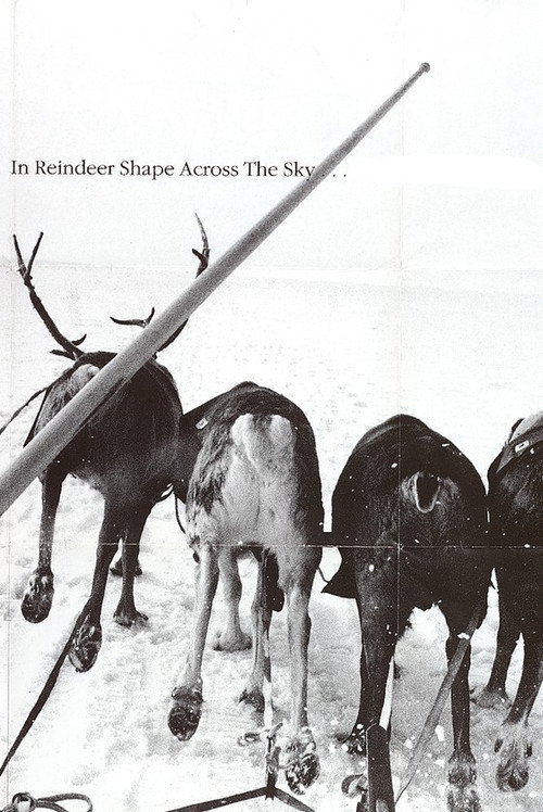Movie poster for In Reindeer Shape Across the Sky... (1993)