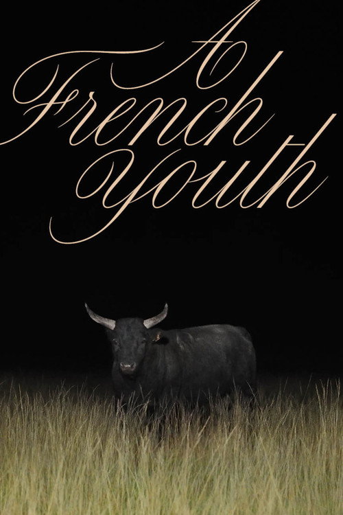 Movie poster for A French Youth (2024)