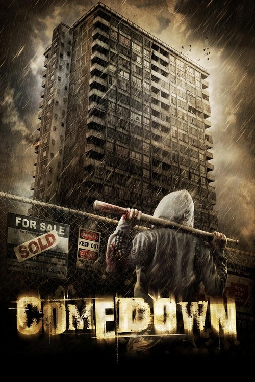 Movie poster for Comedown (2012)