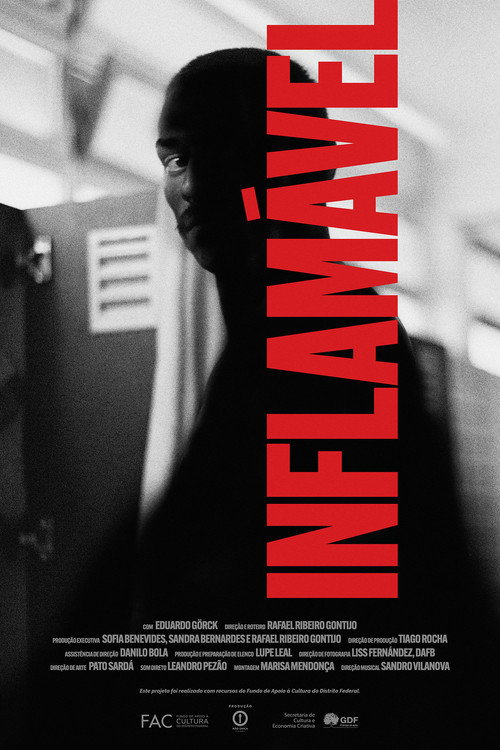 Movie poster for Fiery (2024)