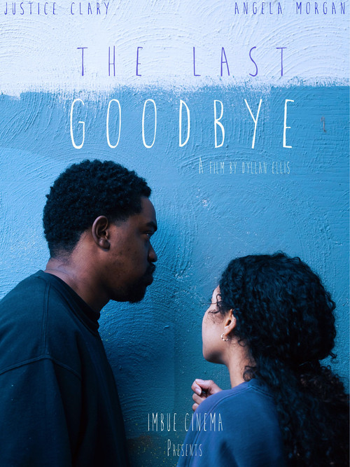 Movie poster for The Last Goodbye (2025)