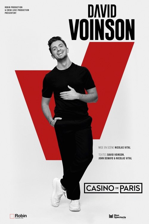 Movie poster for David Voinson (2024)