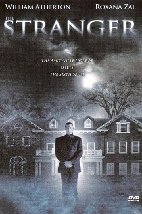 Movie poster for The Stranger (1999)