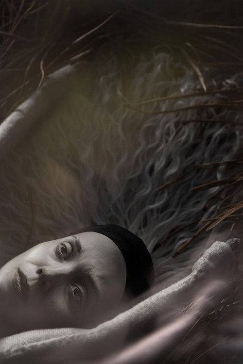 Movie poster for In Perpetuum (2023)