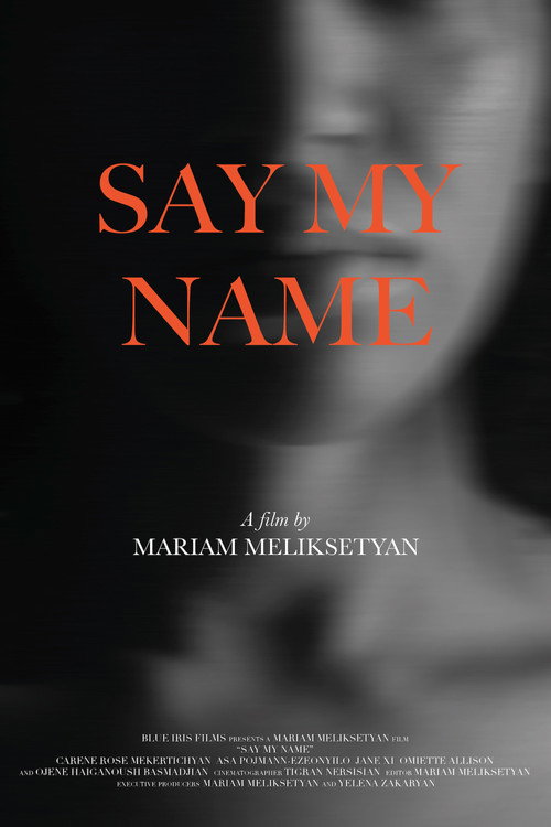 Movie poster for Say My Name