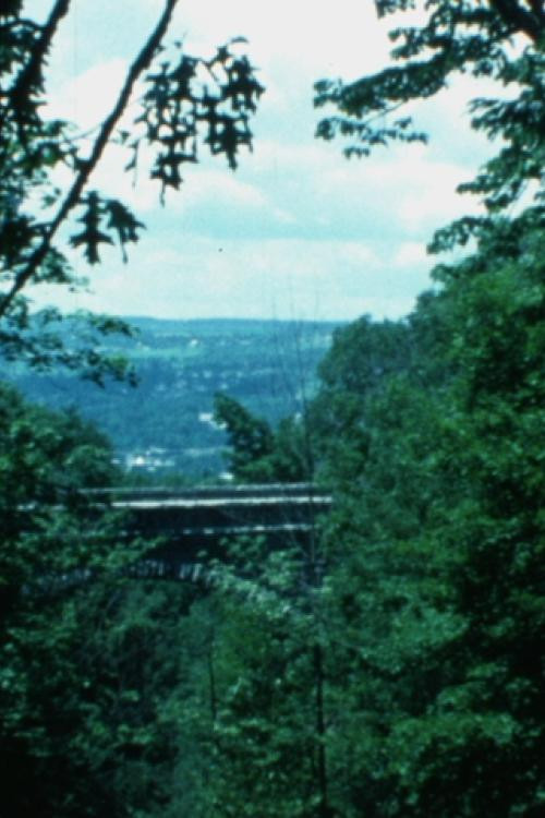 Movie poster for Chi-Nite Ithaca (1979)