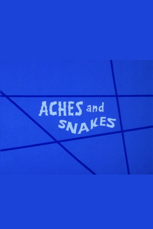 Movie poster for Aches and Snakes (1973)