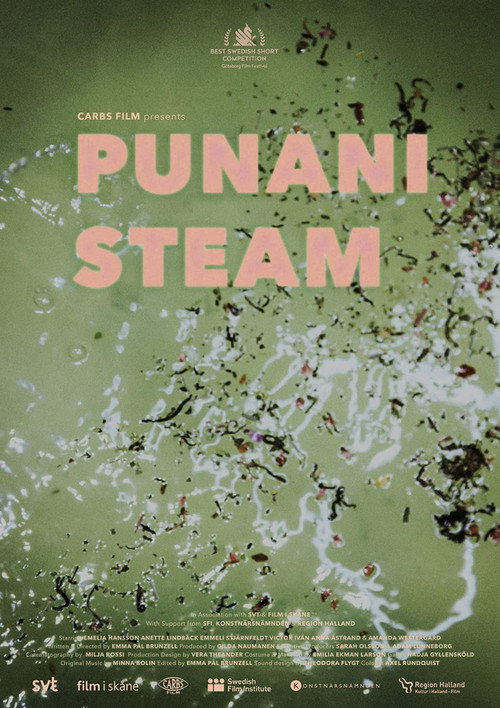 Movie poster for Punani Steam (2021)