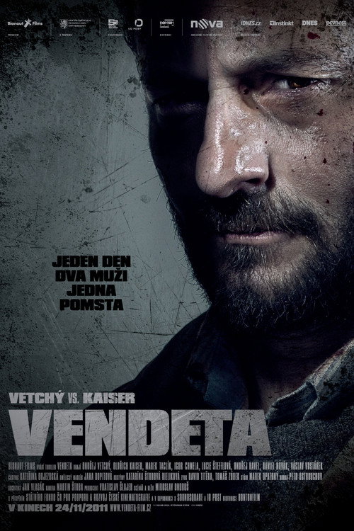 Movie poster for Vendeta (2011)