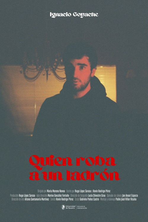 Movie poster for Quien roba a un ladrón