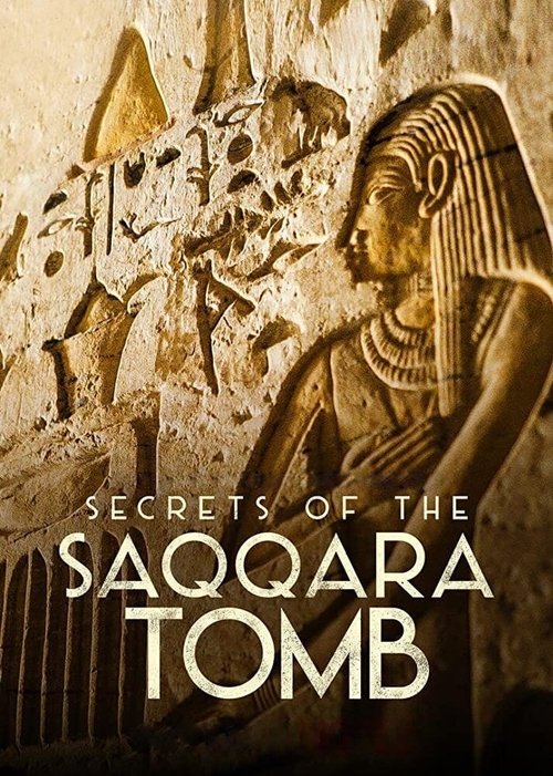 Movie poster for Secrets of the Saqqara Tomb (2020)