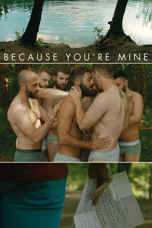 Movie poster for Because You're Mine (2018)