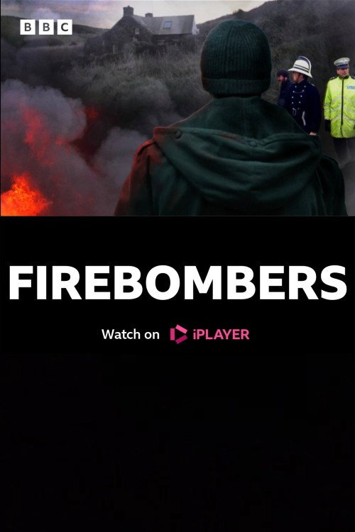 Movie poster for Firebombers (2023)