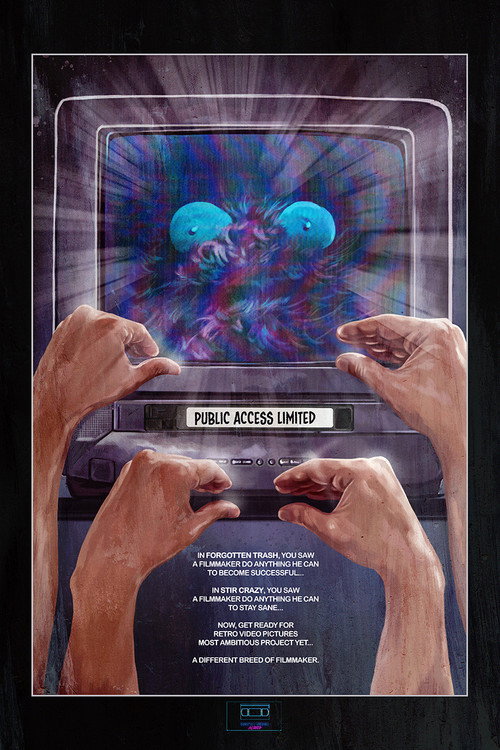 Movie poster for Public Access Limited (2022)