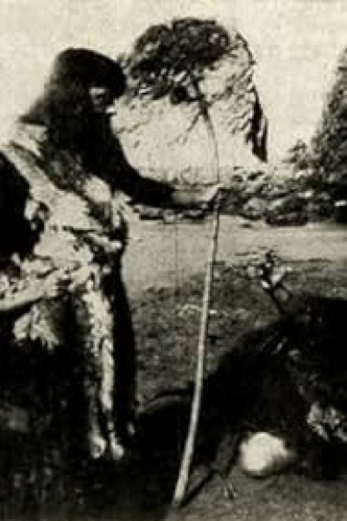 Movie poster for The Cave Men's War (1913)