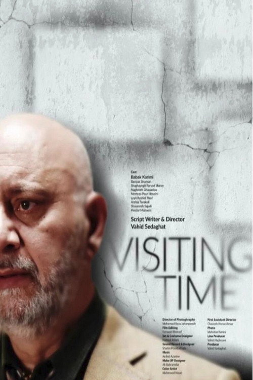 Movie poster for Visiting Time (2022)