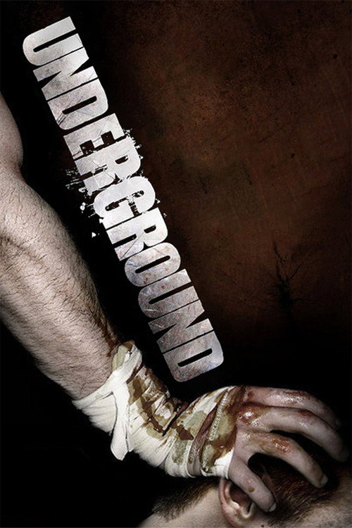 Movie poster for Underground (2007)