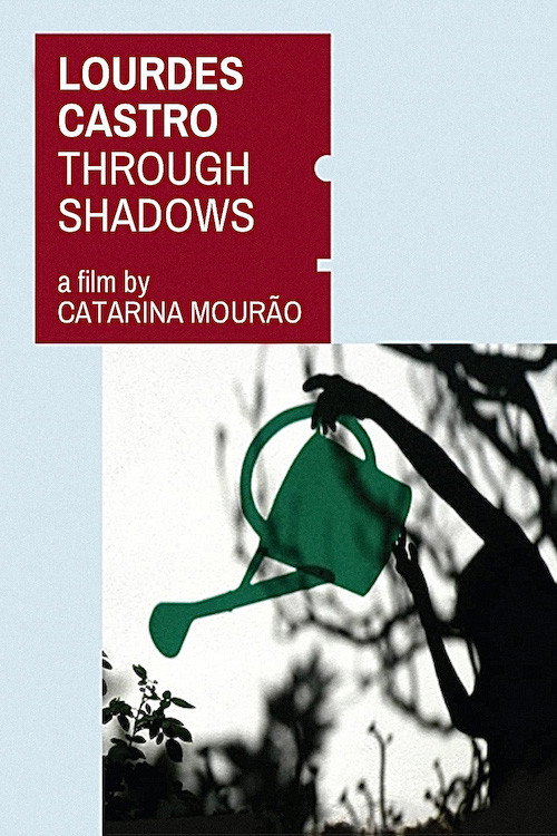 Movie poster for Through Shadows (2010)