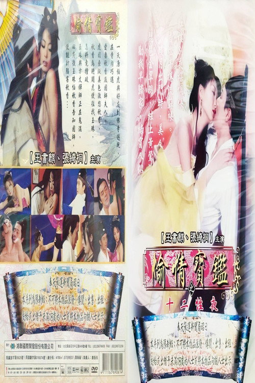 Movie poster for 偷情宝鉴之十二性夜 (2000)