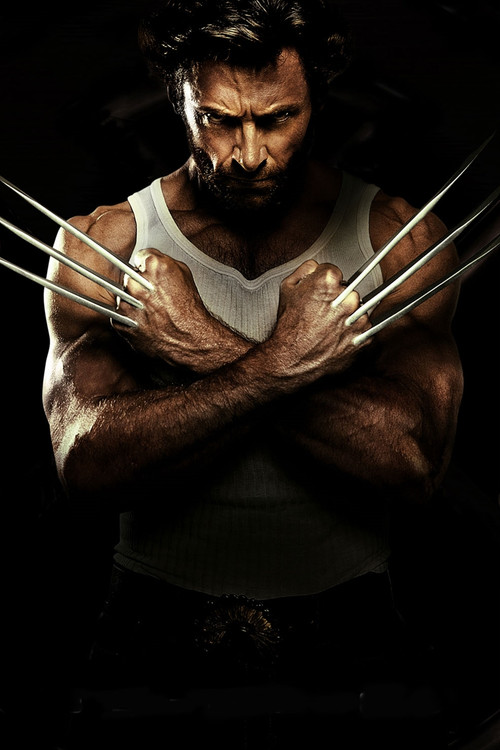 Movie poster for The Roots of Wolverine: A Conversation with Stan Lee and Len Wein (2009)